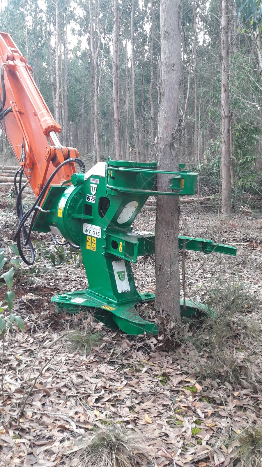 TREE SHEAR